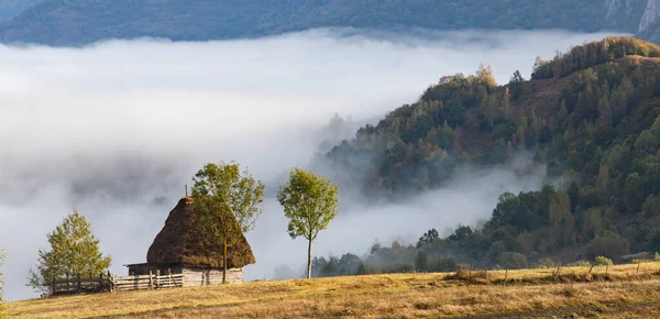 Platteland Roemenië Mooie Mistige Ochtend Landschap Apuseni Bergen — Stockfoto