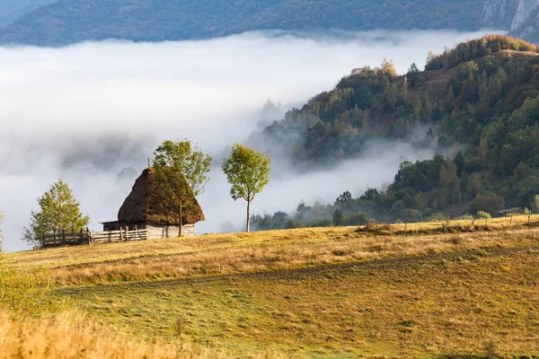 Landsbygd Rumänien Vacker Dimmig Morgon Landskap Apuseni Bergen — Stockfoto