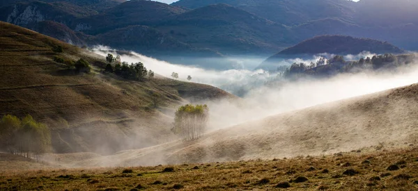 Beau Début Automne Nature Arrière Plan Brouillard Arbres Dans Les — Photo