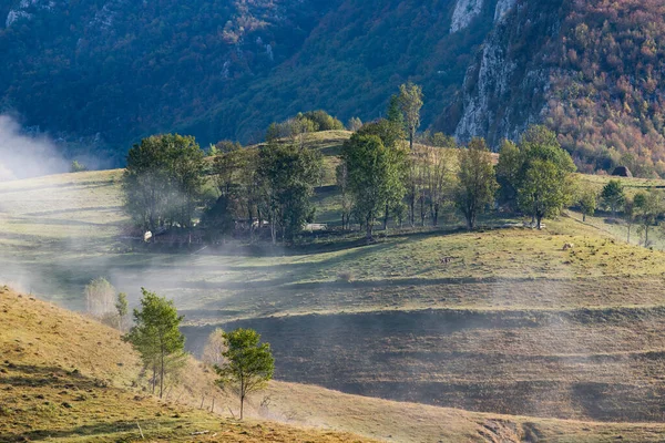 美丽的初秋大自然背景山中雾蒙蒙的树木 — 图库照片