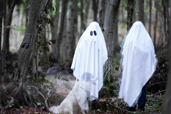 Fantasma Uma Floresta Escura Halloween Fundo — Fotografia de Stock