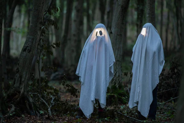 黑暗森林里的鬼魂万圣节的背景 — 图库照片