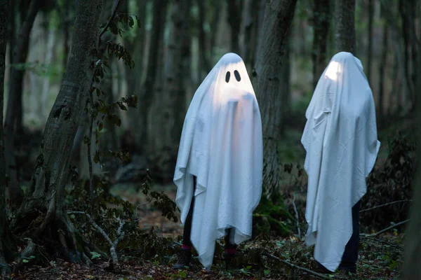 Duch Tmavém Lese Halloween Pozadí — Stock fotografie