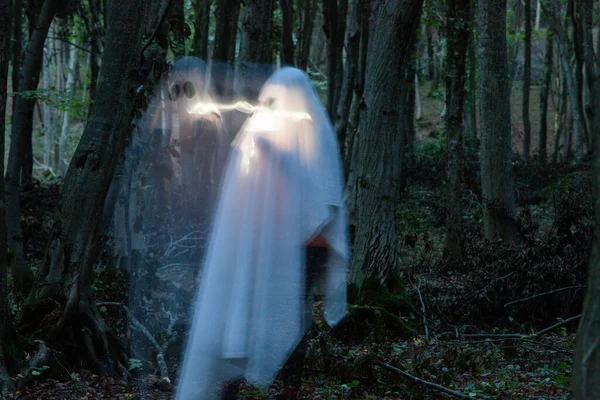 Fantasma Uma Floresta Escura Halloween Fundo — Fotografia de Stock