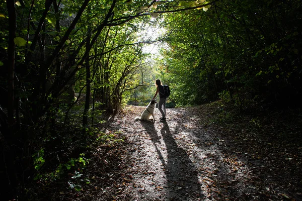 Frau Und Hund Genießen Die Natur Soziale Distanzierung — Stockfoto