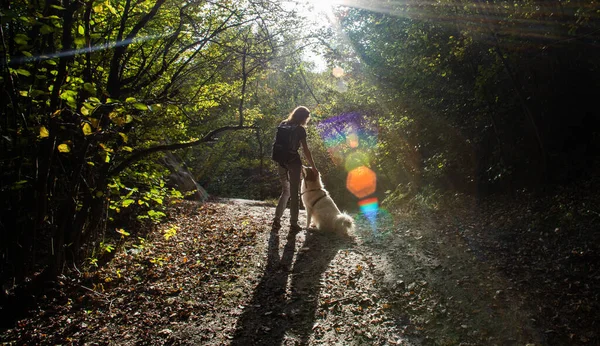 Mujer Perro Disfrutando Del Distanciamiento Social Aire Libre —  Fotos de Stock