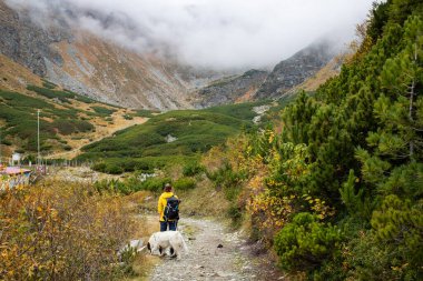 Kadın ve köpek yüksek dağlarda yürüyorlar.