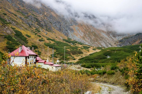 Splendida Vista Sulle Montagne Rodnei Romania — Foto Stock