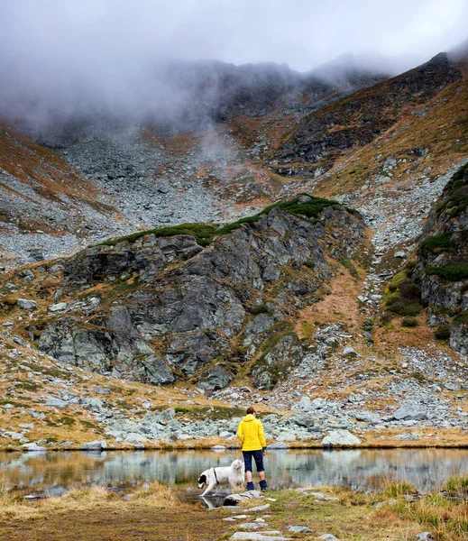 Mujer Perro Trekking Altas Montañas — Foto de Stock