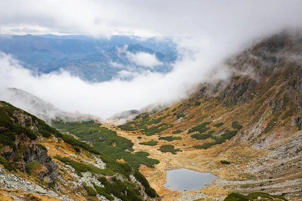 Increíble Vista Sobre Las Montañas Rodnei Rumania — Foto de Stock