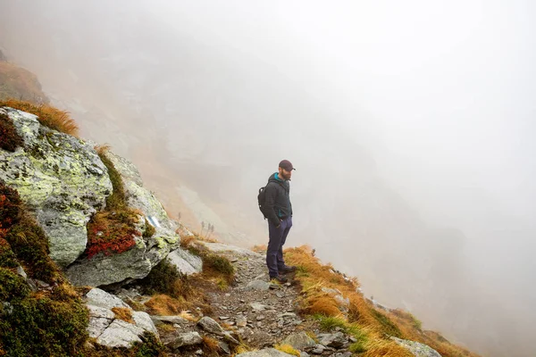Bonito Masculino Caminhante Nevoeiro Montanhas Social Distanciamento — Fotografia de Stock