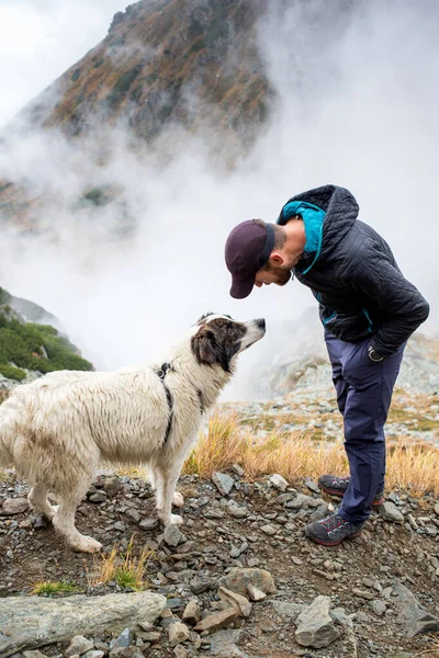 Красивий Чоловік Його Собака Ходять Високих Горах — стокове фото