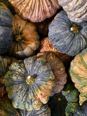 Kabak, taze sebze sağlığınız için