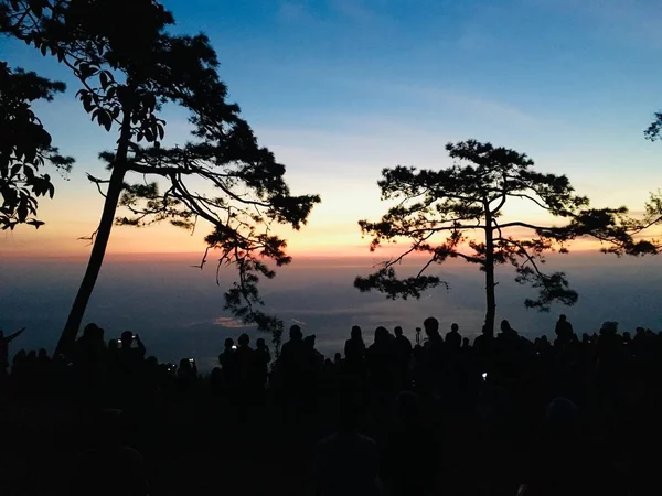 Silhouette view of crowd to see the sunset with pine trees on colorful light and twilight sky