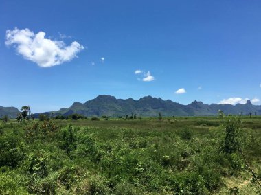 Yerel çayır manzarası, daha fazla ağaç ve mavi gökyüzü olan tepe.