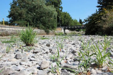 Yağmur gelmiyor. Bu neden Almanya nehre 2018.Water içinde kuru kadar istiyor tüm yaşam ve doğa yağmur olmadan temelidir.