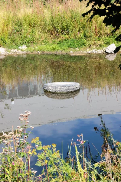 Neumático Tirado Descuidadamente Naturaleza Objetos Desechados Descuidadamente Contaminan Medio Ambiente — Foto de Stock