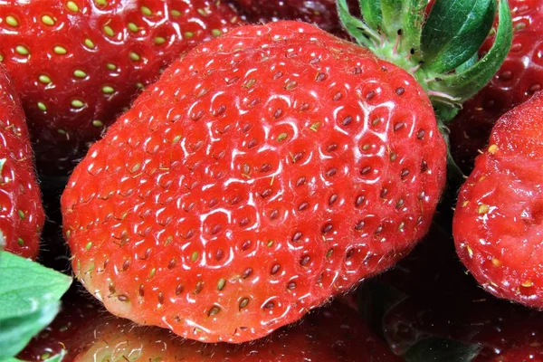 딸기 거울 — 스톡 사진