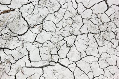 Yağmur gelmiyor. Bu neden Almanya nehre 2018.Water içinde kuru kadar istiyor tüm yaşam ve doğa yağmur olmadan temelidir.