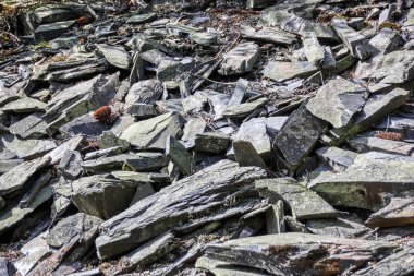 Sanat tasarımı için doku ve arkaplan 