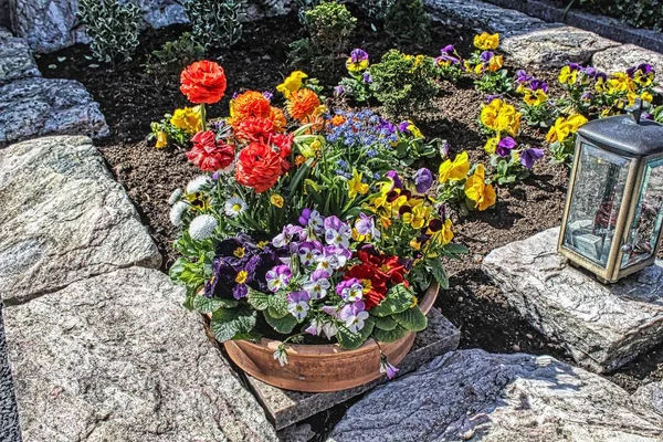 Blumen Grab Gedenken Verstorbene Familienmitglieder — Stockfoto