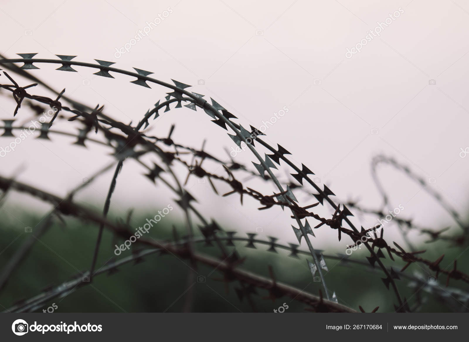 Забор из колючей проволоки гост
