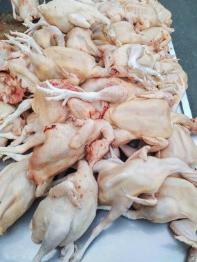 Masaya yerleştirilen taze tavuk