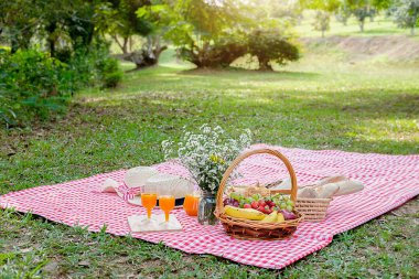 Şapka, çiçek ve piknik alanında yeşil doğa arka plan ile kırmızı ve beyaz ekose desenli kumaş üzerine yiyecek, ekmek, meyve ve portakal suyu ile hasır sepet. Piknik kavramı.