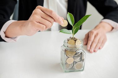 Madeni para ve banknot üzerinde büyüyen ağaçlar için para veren işadamı elleri. İş büyüme kavramı.