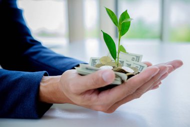 Madeni para ve banknot üzerinde ağaçların büyüme dayanabiliyor işadamları el kapatın. İş büyüme kavramı.