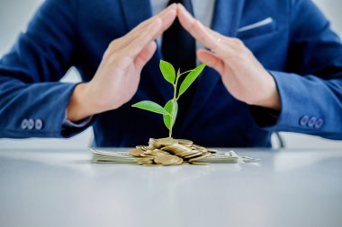 Yeni iş start-up kavramı korumak. Ağaçların büyüme kadar sikke ve banknot elleriniz ve bitki koruma işadamı.
