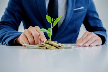 Madeni para ve banknot üzerinde büyüyen ağaçlar için para veren işadamı elleri. İş büyüme kavramı.