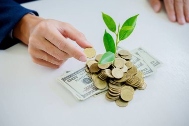 Madeni para ve banknot üzerinde büyüyen ağaçlar için para veren işadamı elleri. İş büyüme kavramı.