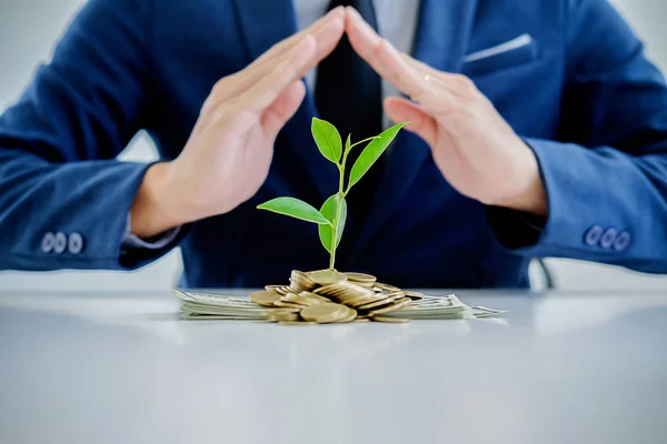 Protect new business start-up concept. Businessman protecting trees growth up on coin and banknote with hands and plant.