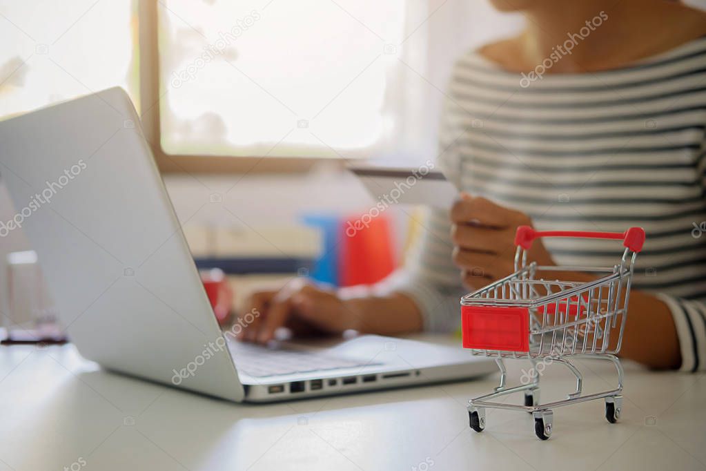 Young woman holding credit card and using laptop computer. Online shopping concept