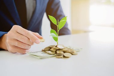 Eller sikke ve ba üzerinde büyüyen ağaçlar için para veren işadamı