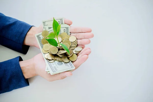 Close up of businessmen hands holding trees growing up on coin an — стоковое фото