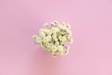 Kasımpatı pembe bir arka plan üzerinde buket. Üstten görünüm kopya alanı düz yatıyordu