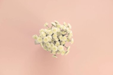 Kasımpatı pembe bir arka plan üzerinde buket. Üstten görünüm kopya alanı düz yatıyordu