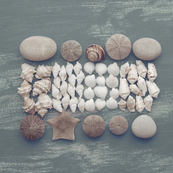 Composition Set Shells Stones Pebbles Star Hedgehog Wooden Background Old — Stock Photo, Image