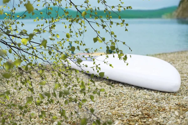 Defocus берег моря літній краєвид монохромний води дрібногалечний природи Хілл Bay. — стокове фото