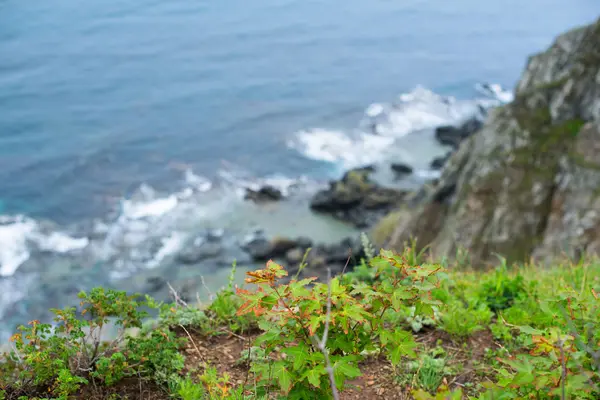 Natureza Praia Mar Paisagem Praia Água Azul Bela Costa Baía — Fotografia de Stock