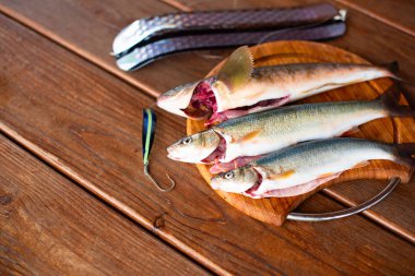 Taze deniz balık yakalamak yalanlar üzerine bir kesme bir ahşap masa üst görünüm kopya alanı üzerinde kurulu
