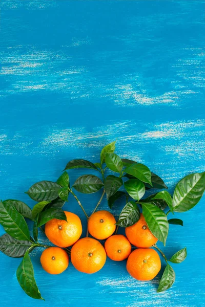 Érett Mandarin Zöld Levelek Világos Kék Háttérrel Felülnézet Lapos Laikus — Stock Fotó