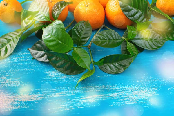 Mandarines Mûres Avec Des Feuilles Vertes Sur Fond Bleu Vif — Photo