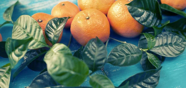 Banner Ripe Tangerines Green Leaves Bright Blue Background Top View — Stock Photo, Image