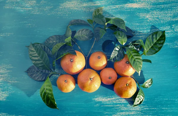 Ripe Tangerines Green Leaves Bright Blue Background Top View Flat — Stock Photo, Image