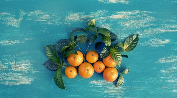 Banner Ripe Tangerines Green Leaves Bright Blue Background Top View — Stock Photo, Image