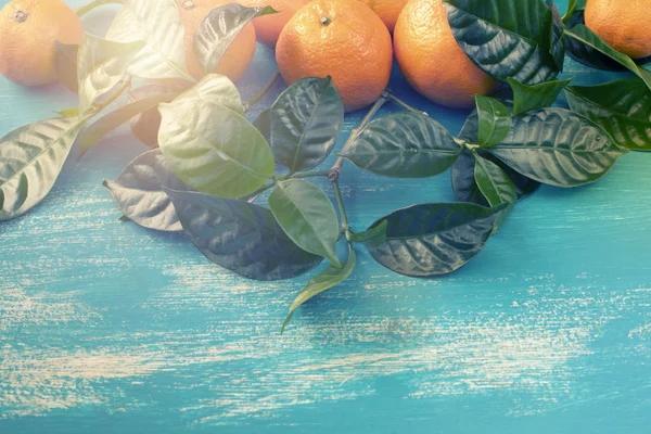 Érett Mandarin Zöld Levelek Világos Kék Háttérrel Felülnézet Lapos Laikus — Stock Fotó