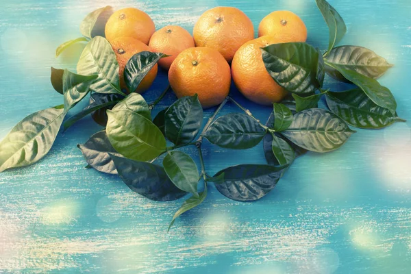 Mandarines Mûres Avec Des Feuilles Vertes Sur Fond Bleu Vif — Photo